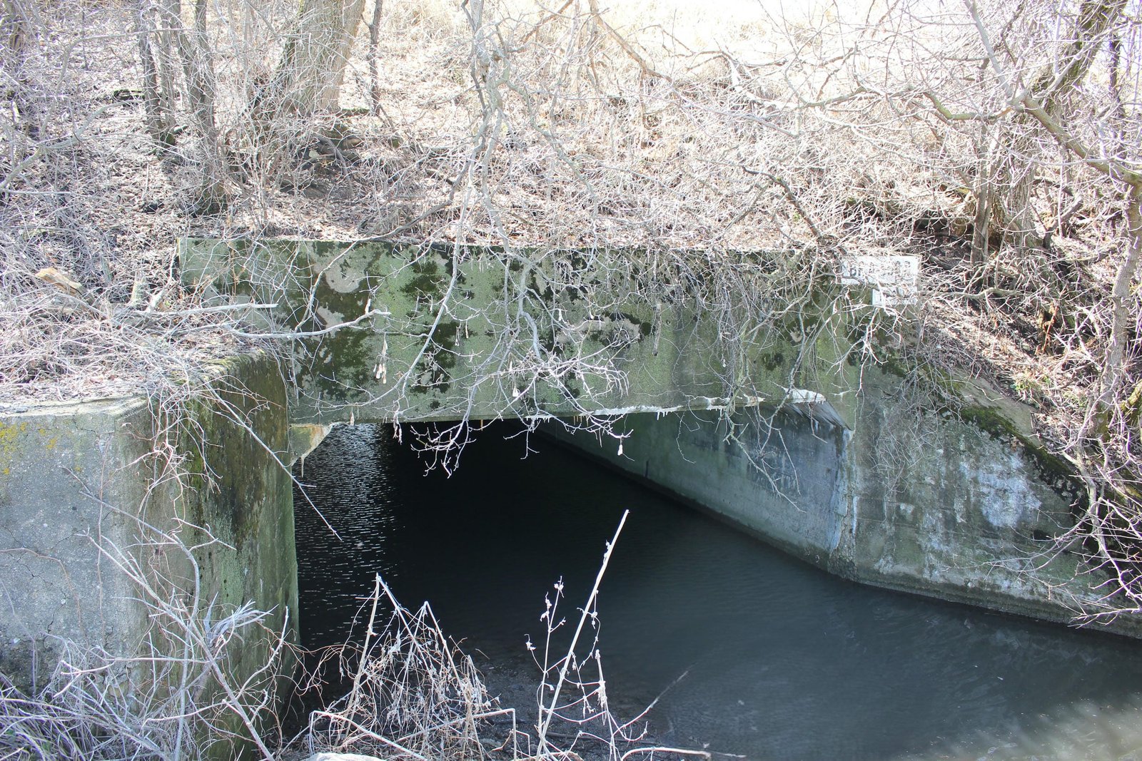 North face, adjacent Bridge #A-508B